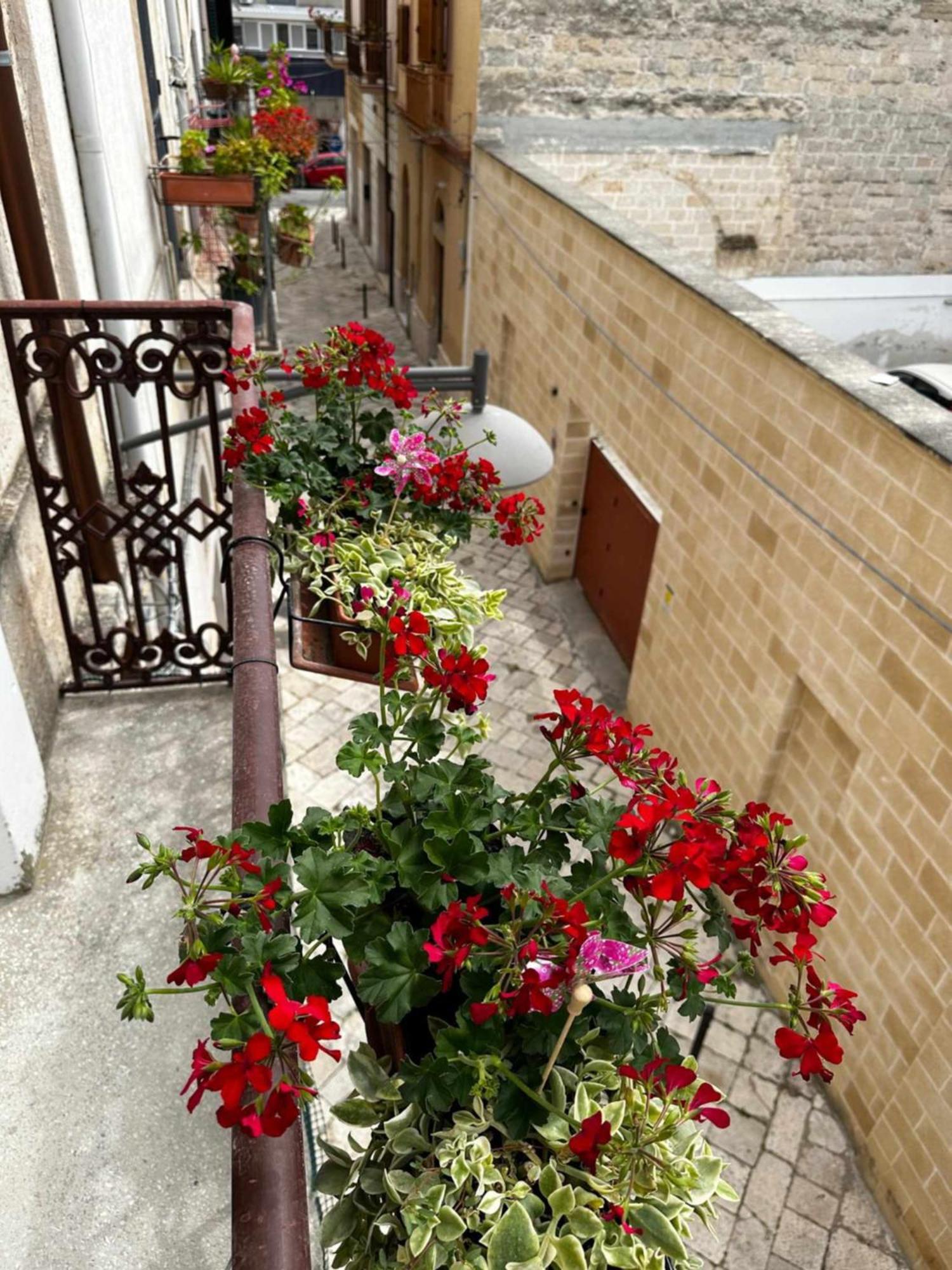 Zephir Suite Brindisi Esterno foto
