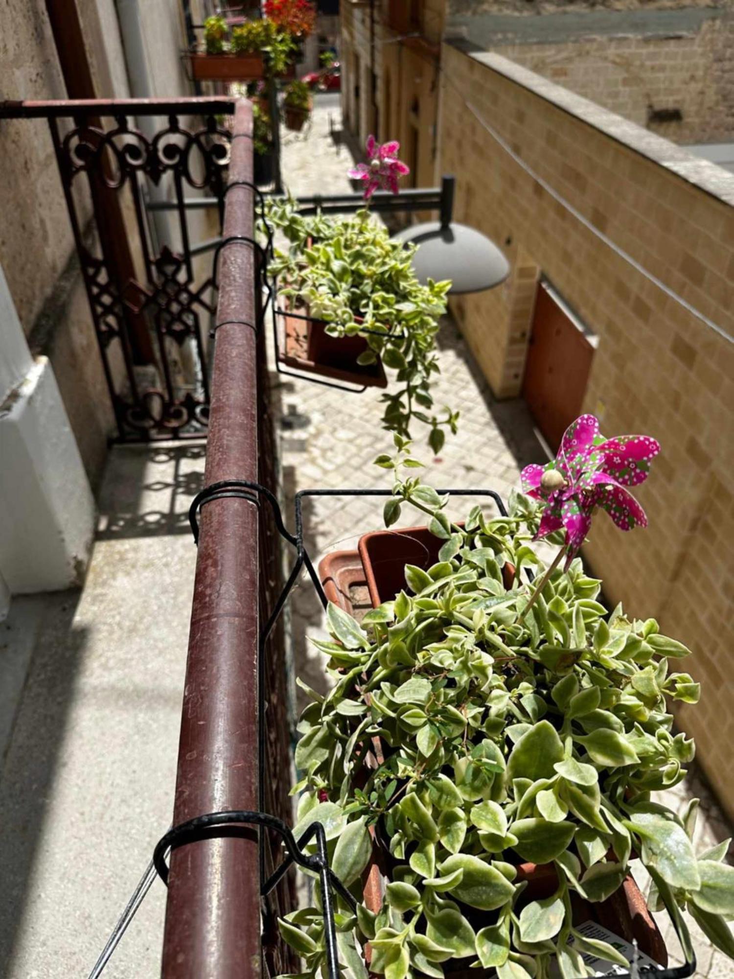 Zephir Suite Brindisi Esterno foto
